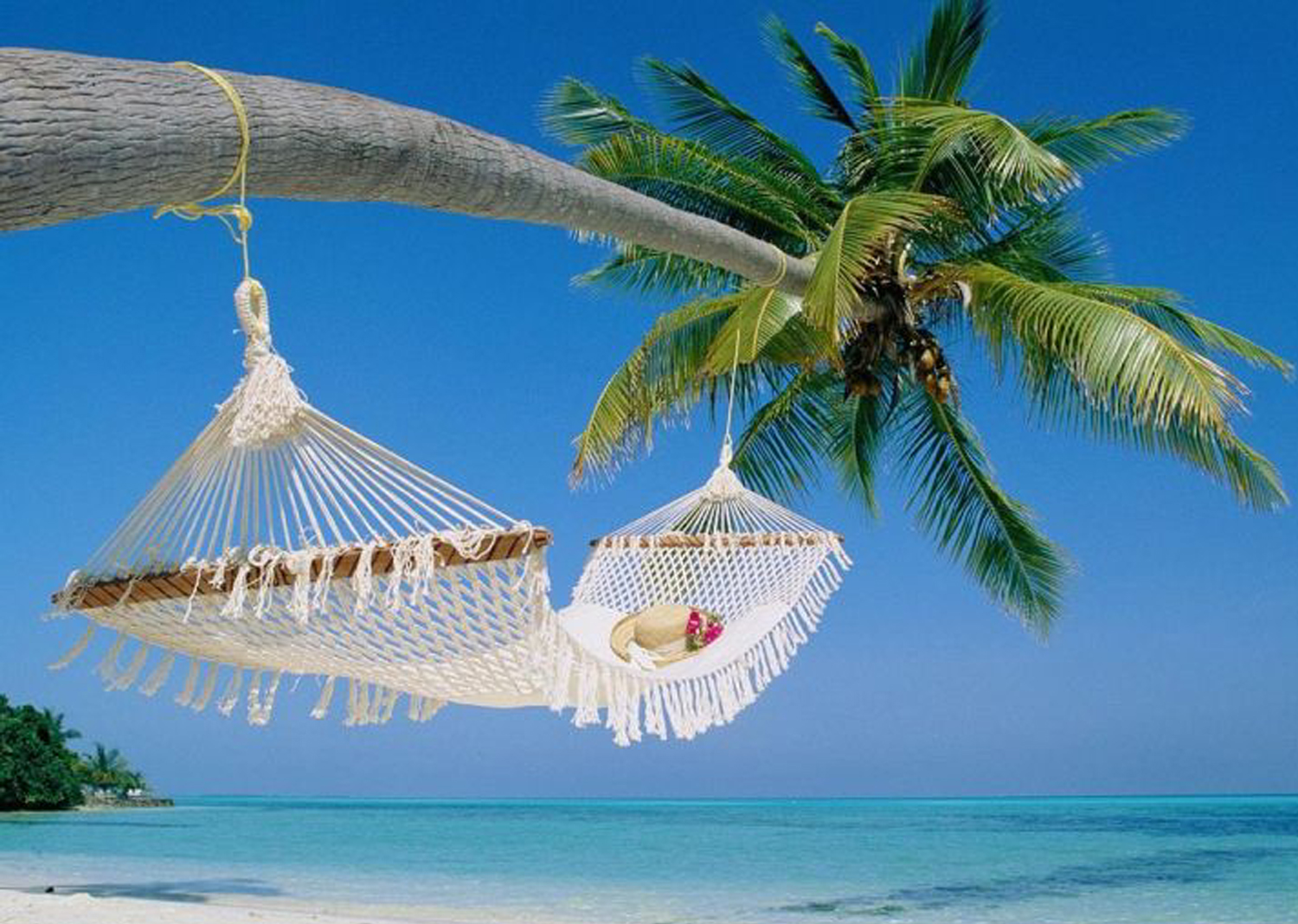 chitra Tours